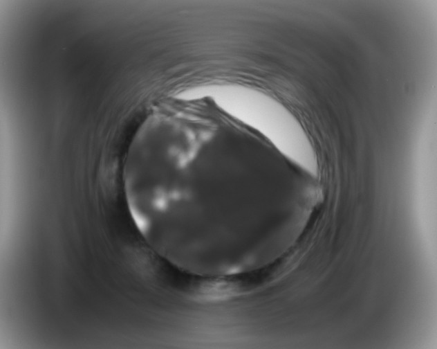 X0000086260319200704262001