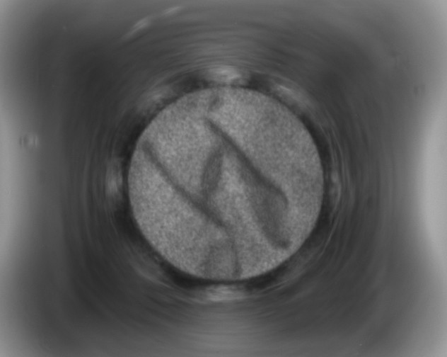X0000086260320200704262001