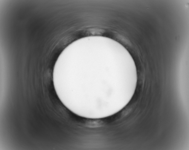 X0000086260321200704262001