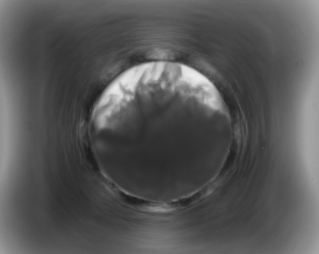 X0000086260322200704262001