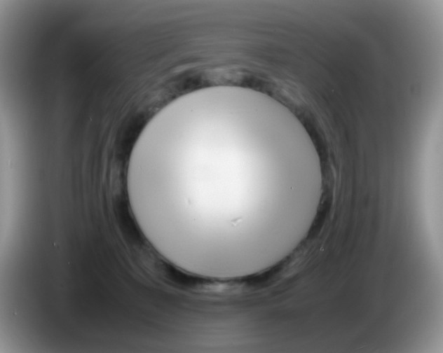 X0000086260323200704262001