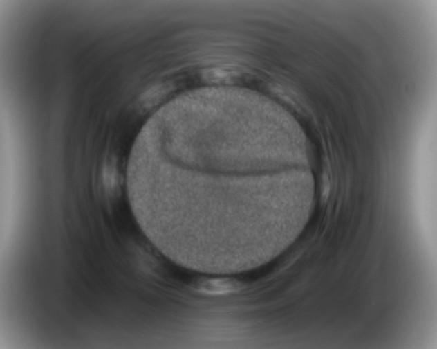 X0000086260324200704262001