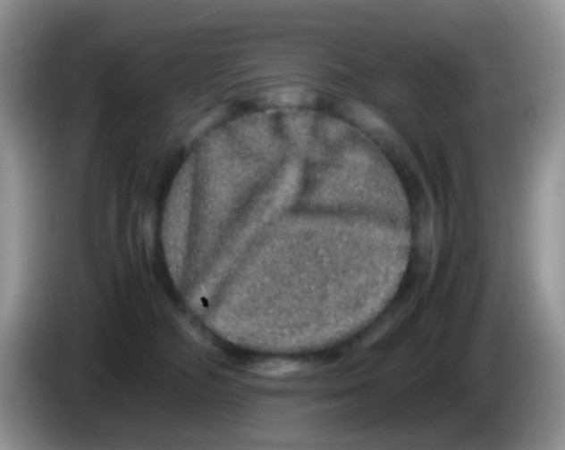 X0000086260326200704262001