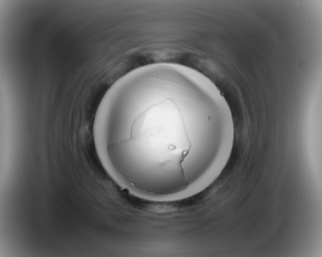 X0000086260327200704262001