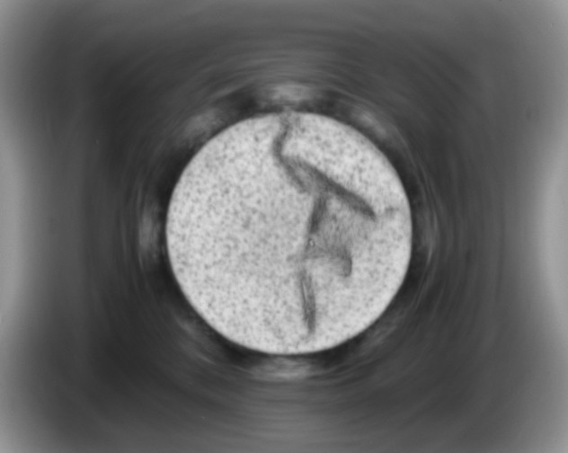 X0000086260328200704262001