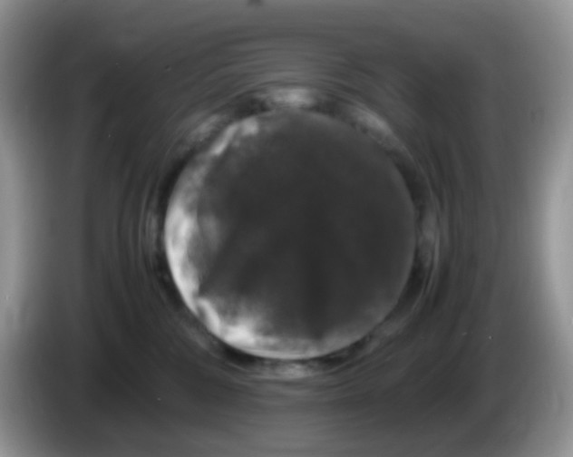 X0000086260330200704262001