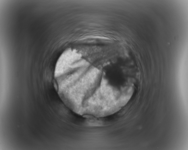 X0000086260331200704262001