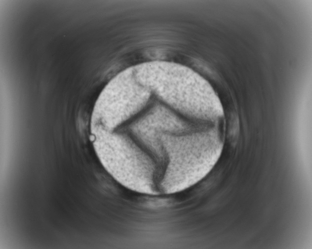 X0000086260332200704262001