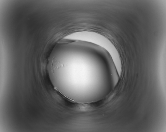X0000086260333200704262001