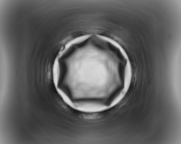 X0000086260334200704262001