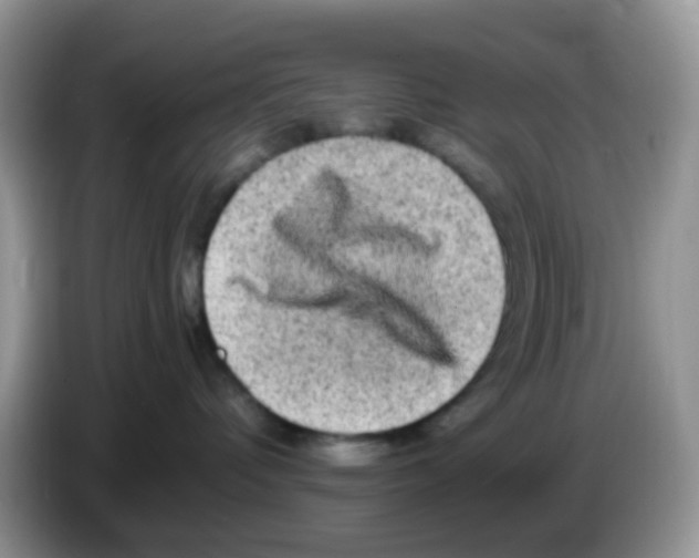 X0000086260336200704262001