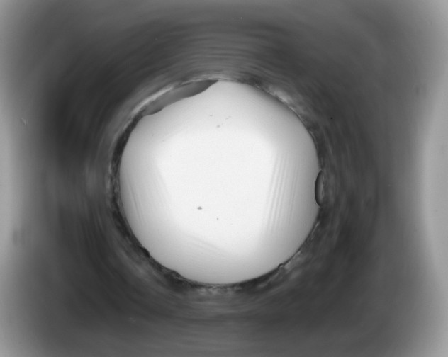 X0000086260338200704262000