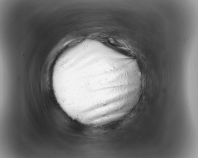 X0000086260339200704262000
