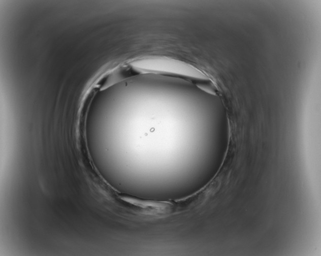 X0000086260340200704262000