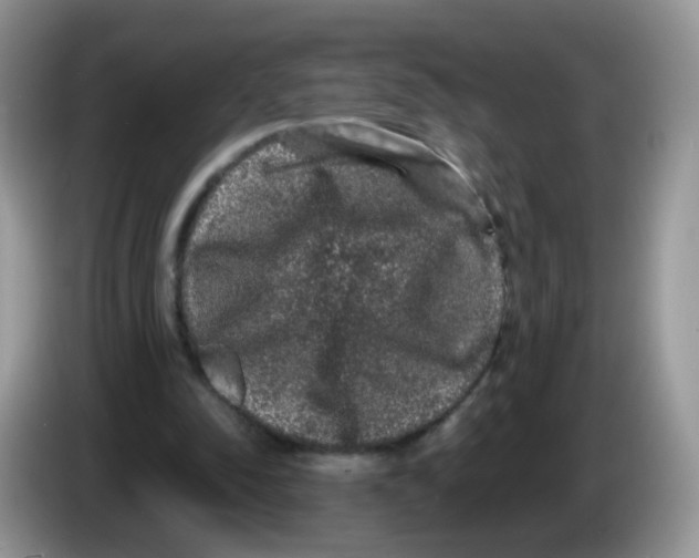 X0000086260342200704262000