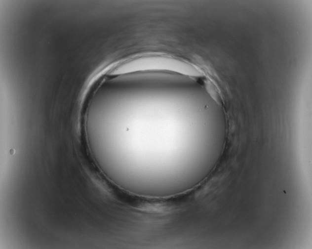 X0000086260344200704262000