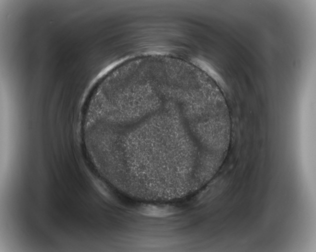 X0000086260346200704262000