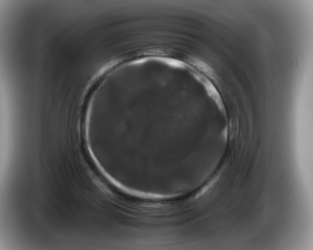 X0000086260349200704262000