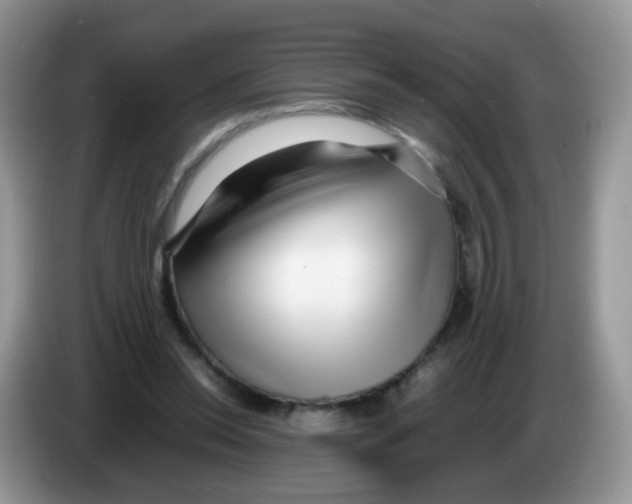 X0000086260350200704262000