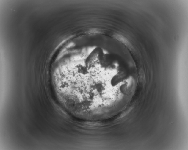 X0000086260351200704262000