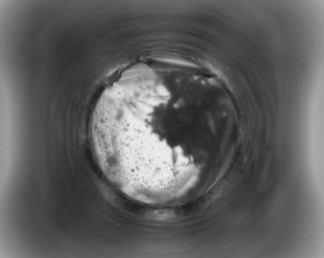 X0000086260353200704262000