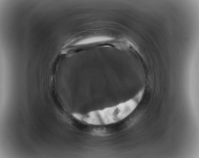 X0000086260355200704262000