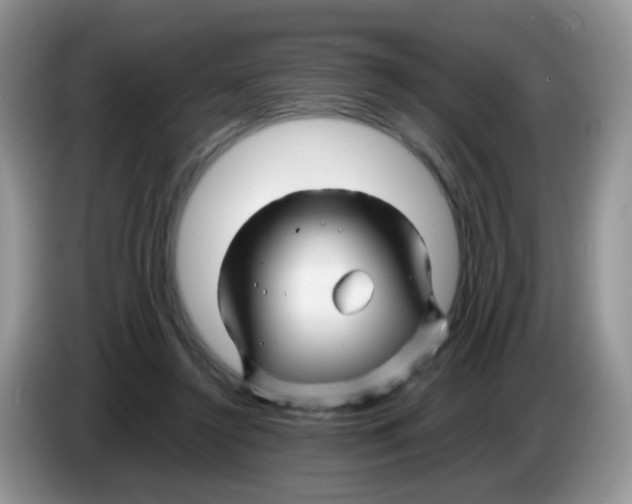 X0000086260356200704262000