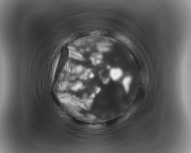 X0000086260357200704262000