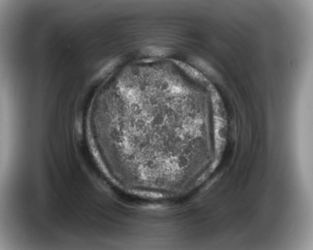 X0000086260358200704262000