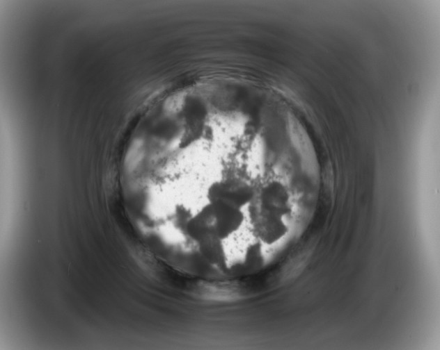 X0000086260359200704262000
