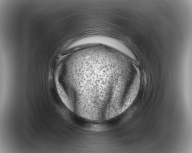 X0000086260360200704262000