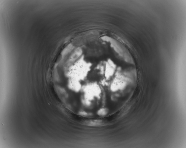 X0000086260361200704262000