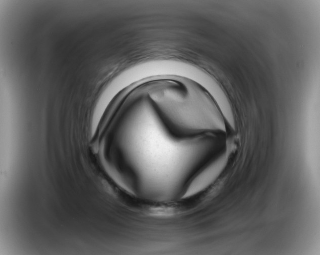 X0000086260362200704262000