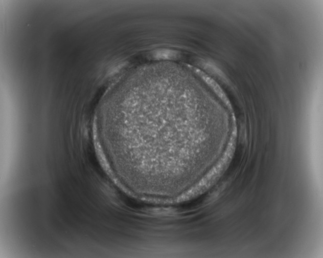 X0000086260363200704262000