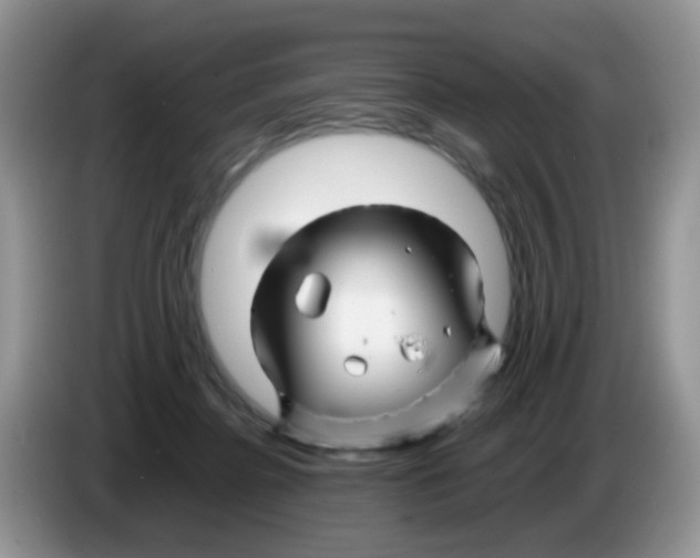X0000086260364200704262000