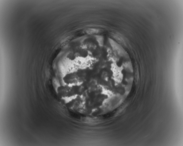 X0000086260367200704262000