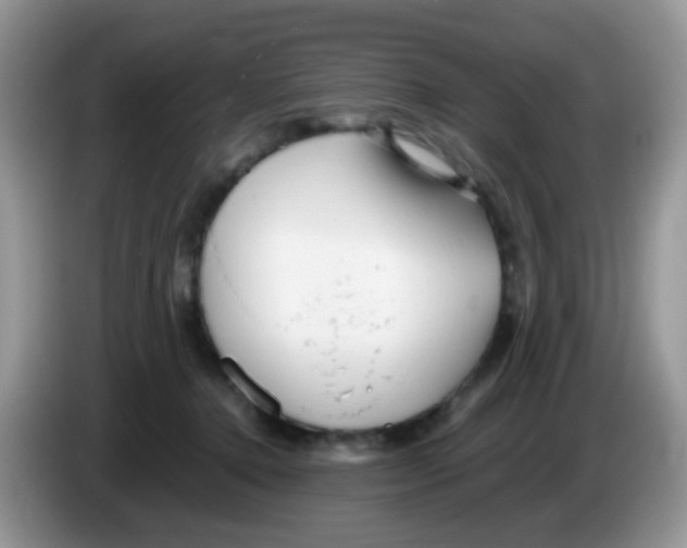 X0000086260368200704262000