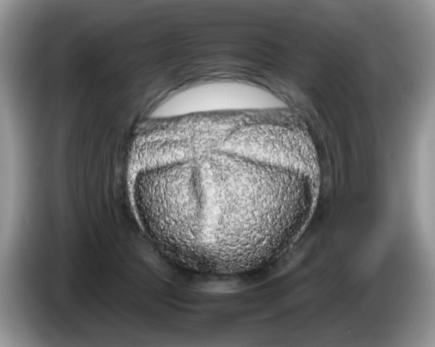 X0000086260369200704262000