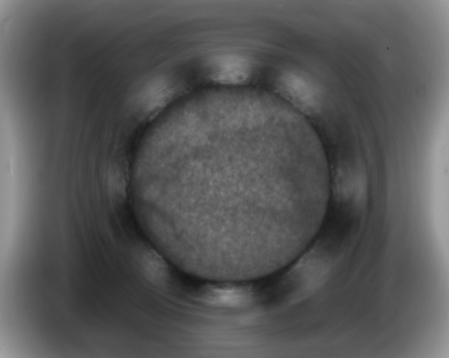 X0000086260370200704262000