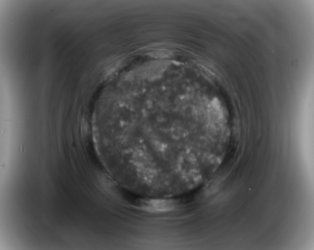 X0000086260371200704262000