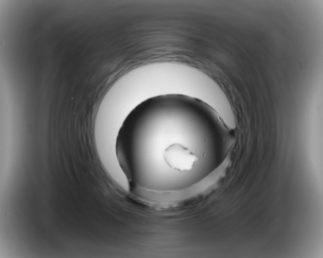 X0000086260372200704262000
