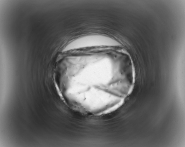 X0000086260373200704262000