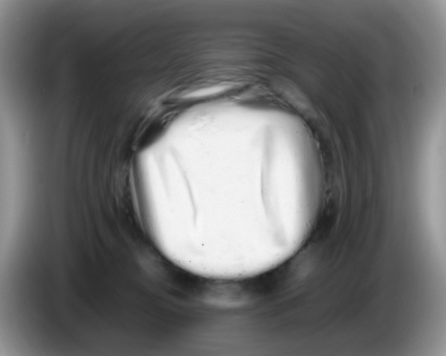 X0000086260374200704262000