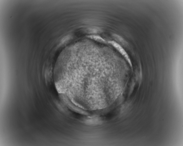 X0000086260376200704262000
