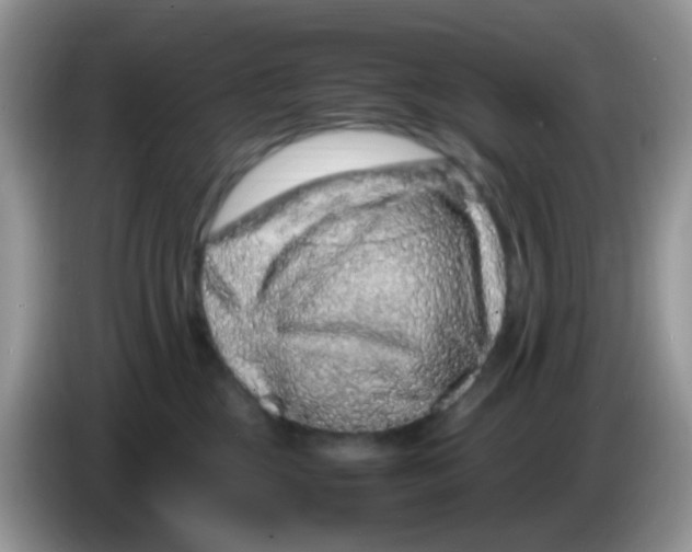X0000086260377200704262000