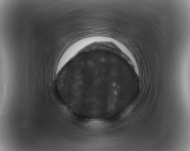 X0000086260380200704262000
