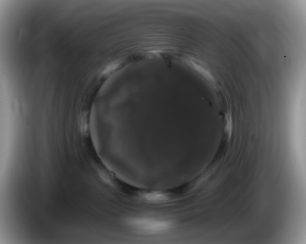 X0000086260383200704262001