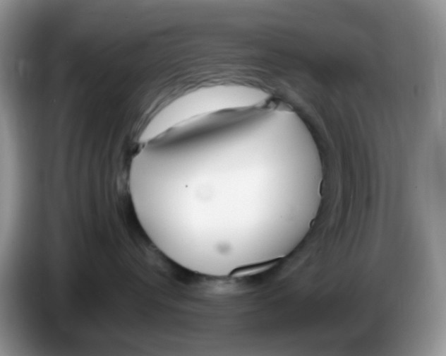 X0000086260384200704262001