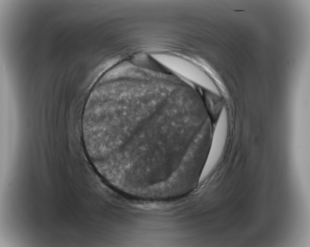 X0000086260385200704262000