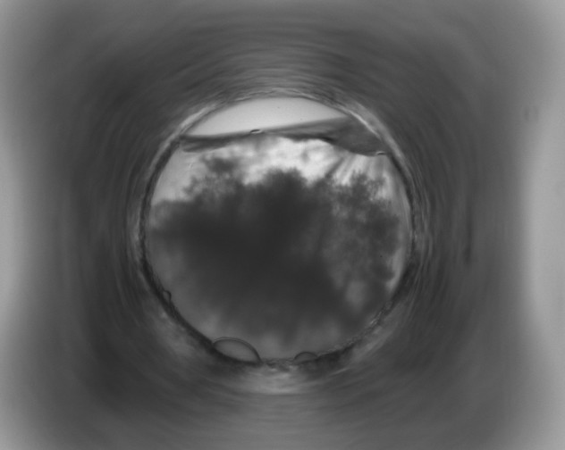 X0000086260386200704262000